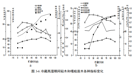 1743494866273.png 1743494866273.png